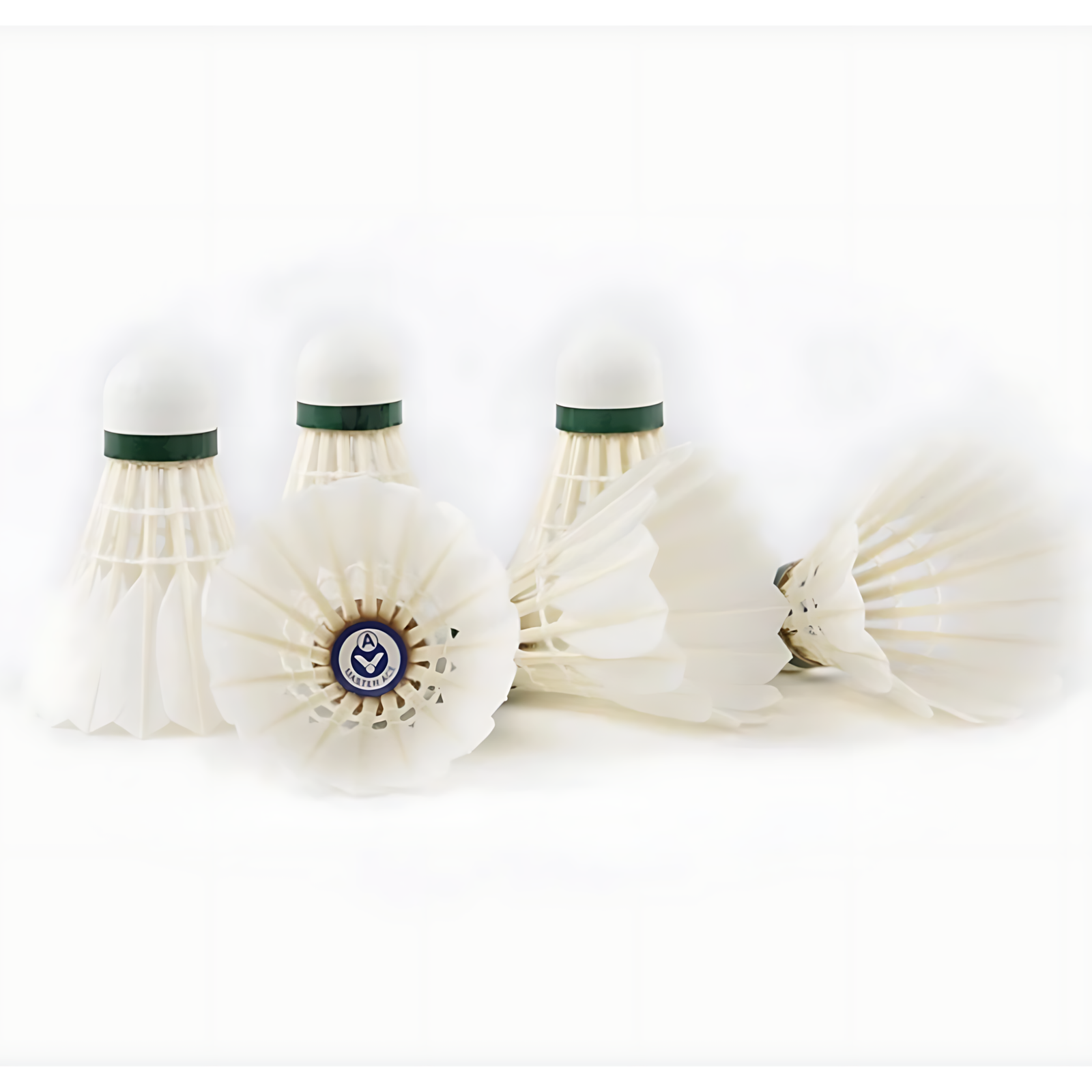 Master Ace Goose Feather Shuttle | BWF Approved | (12 Pcs) - Speed 76 - Image 3